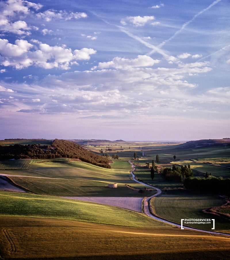 Valle del Honrija al atardecer desde el mirador de Peñaflor de Hornija . Montes Torozos. Valladolid. Castilla y León. España. © Javier Prieto Gallego.