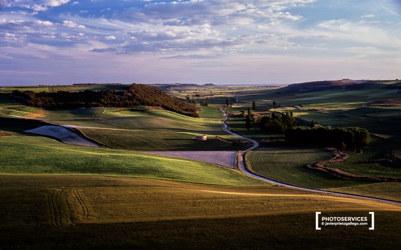 Valle del Honrija al atardecer desde el mirador de Peñaflor de Hornija . Montes Torozos. Valladolid. Castilla y León. España. © Javier Prieto Gallego.