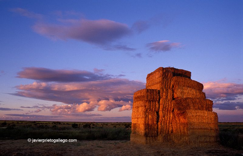 Pacas de paja al atardecer. Localidad de Urueña. Primera villa del Libro de España. Comarca de los Montes Torozos. Provincia de Valladolid. Castilla y León. España © Javier Prieto Gallego;