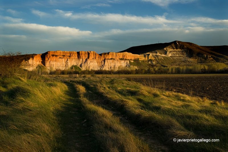 Riberas del Pisuerga cerca de Cabezón de Pisuerga, en la ruta de Carlos V. Valladolid. Castilla y León. España © Javier Prieto Gallego.