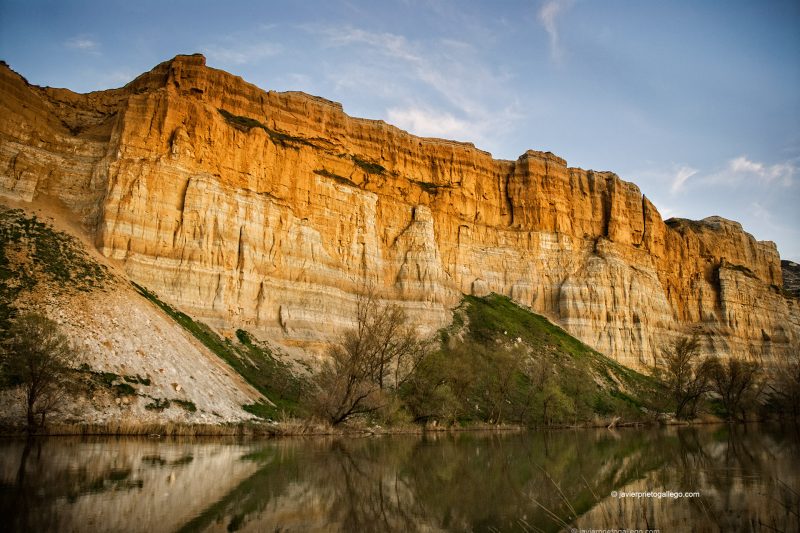 Río Pisuerga. Cabezón de Pisuerga. Valladolid. Castilla y León. España © Javier Prieto Gallego