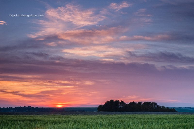 Peñaflor de Hornija. Montes Torozos. Valladolid © Javier Prieto Gallego;