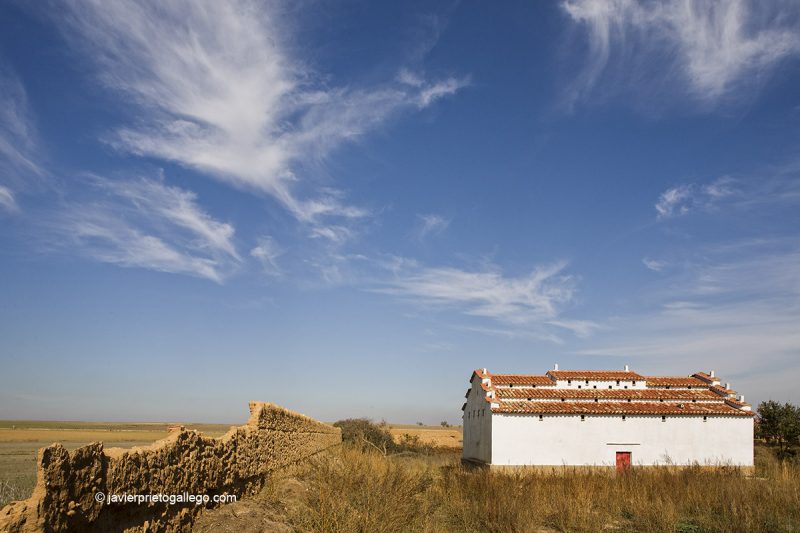 Palomar. Tamariz de Campos Provincia de Valladolid. Castilla y León. España. © Javier Prieto Gallego