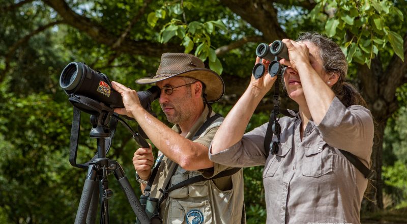 Observación de aves. Molino del Canto. Barriolacuesta. Merindades. Burgos. Castilla y León. España © Javier Prieto Gallego;