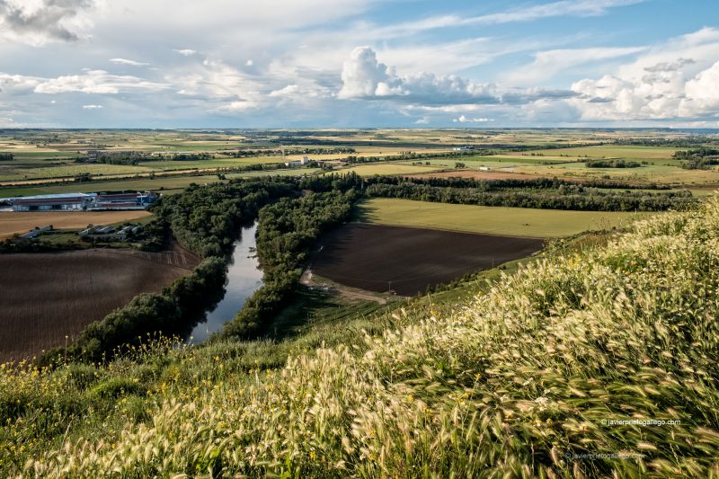 El río Pisuerga desde los cortados de yeso cercanos a Cabezón de Pisuerga. Valladolid. Castilla y León. España © Javier Prieto Gallego;