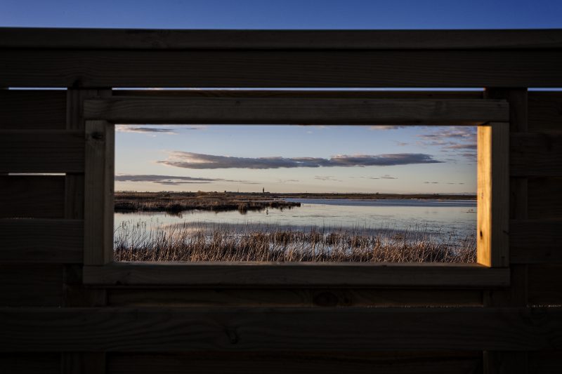 Laguna de La Nava. Fuentes de Nava. Palencia. Castilla y León. España © Javier Prieto Gallego