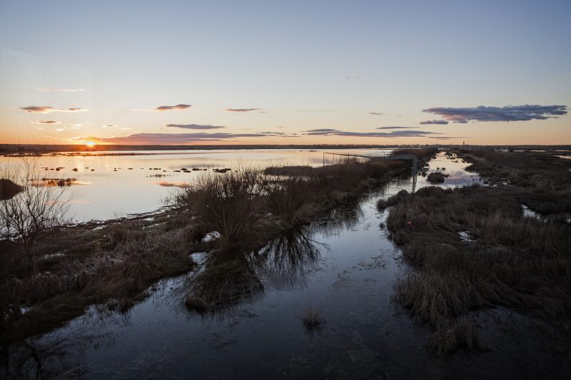 Laguna de La Nava. Fuentes de Nava. Palencia. Castilla y León. España © Javier Prieto Gallego