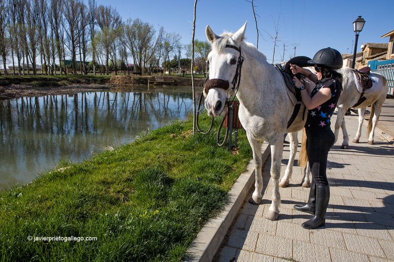 Jinetes de paseo por la sirga del Canal de Castilla en Becerril de Campos. Palencia. Castilla y León. España © Javier Prieto Gallego