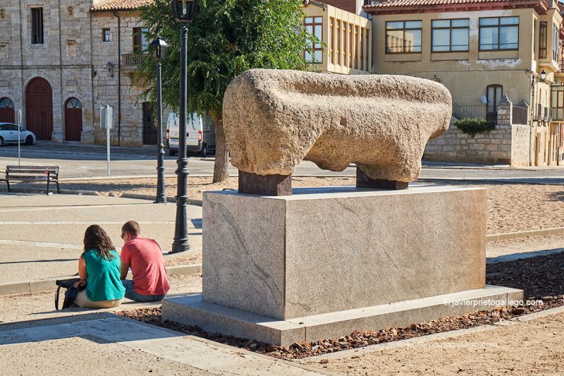 Verraco prehistórico ante el alcázar de Toro. Castilla y León. España © Javier Prieto Gallego