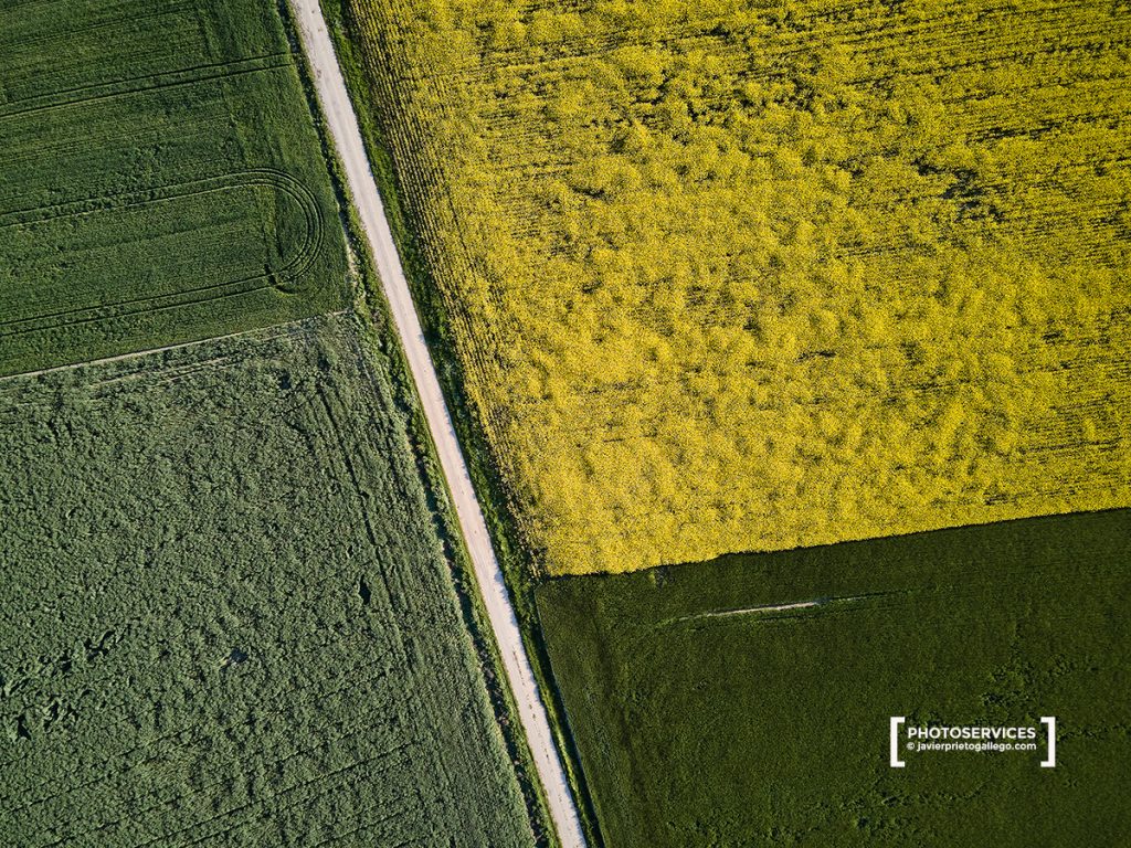 Imagen aérea. Vídeo y fotografía con dron. Campos de colza en flor. España. © Javier Prieto Gallego / PHOTOSERVICES