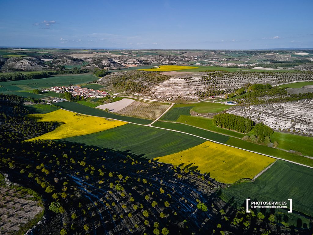 Imagen aérea. Fotografía con dron. Campos de colza en flor. España. © Javier Prieto Gallego / PHOTOSERVICES
