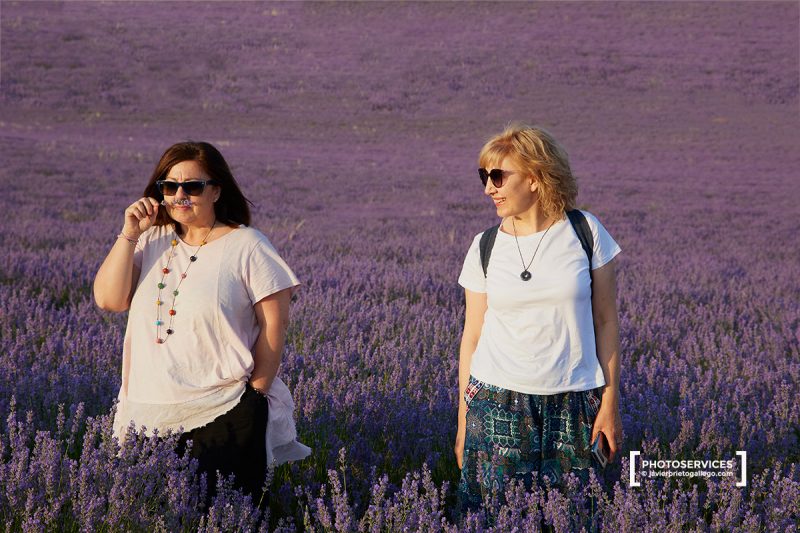 Campos de Lavanda. Tiedra. Valladolid. Castilla y León. España. © Javier Prieto Gallego