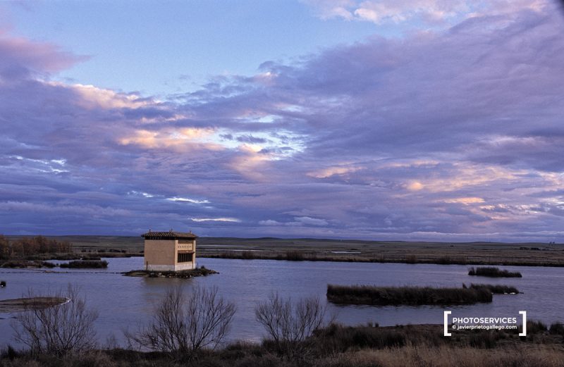 Observatorio de aves. Lagunas de Villafáfila. Zamora. Castilla y León. España. ©Javier Prieto Gallego;
