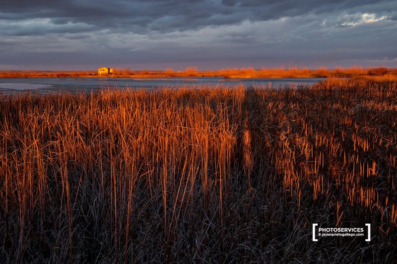 Atardecer tormentoso en invierno en la Laguna de La Nava. Fuentes de Nava. Palencia. Castilla y León. España © Javier Prieto Gallego