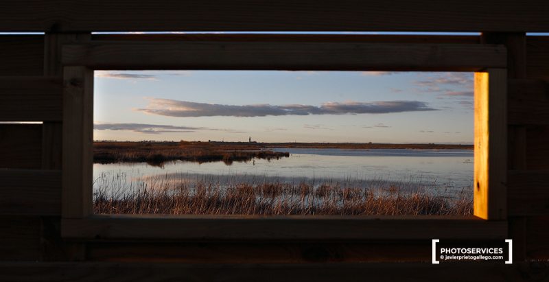 Ventana de uno de los observatorios de la laguan de La Nava desde la que se ve la laguna con la población de Fuentes de Nava al fondo. Al atardecer. Tierra de Campos. Palencia. Castilla y León. España.© Javier Prieto Gallego