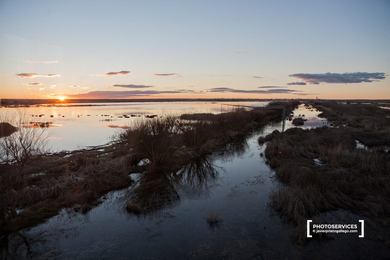 Laguna de La Nava. Fuentes de Nava. Palencia. Castilla y León. España © Javier Prieto Gallego