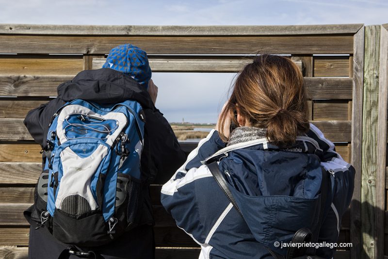 Ornitólogos en uno de los observatorios de la Laguna de la Nava. Palencia. Castilla y León. España © Javier Prieto Gallego;