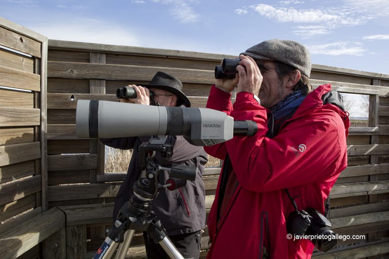 Ornitólogos en uno de los observatorios de la Laguna de la Nava. Palencia. Castilla y León. España © Javier Prieto Gallego;