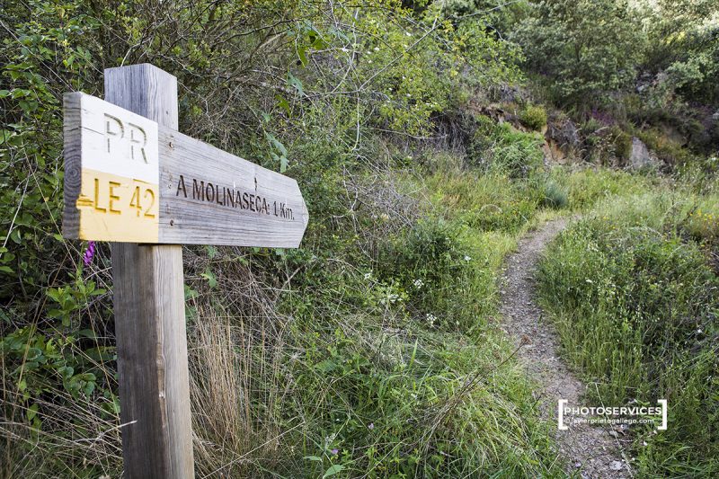 Sendero hacia Las Puentes de Malpaso por el barranco del río Meruelo. Molinaseca. León. Castilla y León. España. © Javier Prieto Gallego
