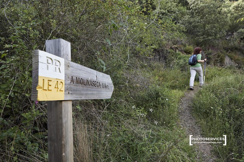Sendero hacia Las Puentes de Malpaso por el barranco del río Meruelo. Molinaseca. León. Castilla y León. España. © Javier Prieto Gallego