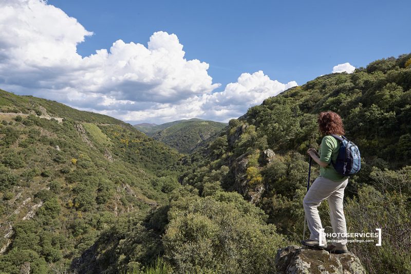 Sendero hacia Las Puentes de Malpaso por el barranco del río Meruelo. Molinaseca. León. Castilla y León. España. © Javier Prieto Gallego