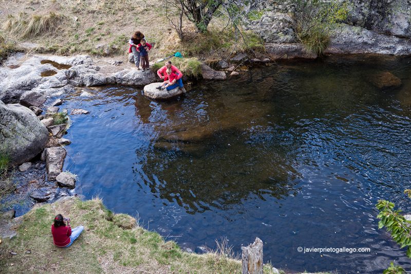 Río Cambrones. Sierra de Guadarrama. La Granja de San Ildefonso. Segovia. Castilla y León. España. © Javier Prieto Gallego