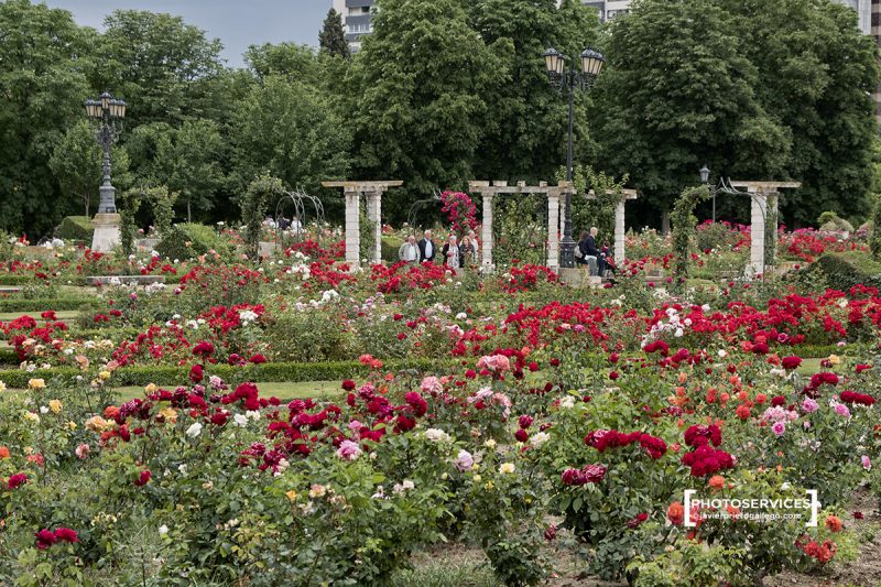 Parque de la Rosaleda. Valladolid. Castilla y León. España © Javier Prieto Gallego