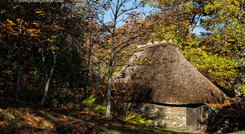 Palloza Museo del Señor Antonio . Pereda de Ancares. León. España © Javier Prieto Gallego;