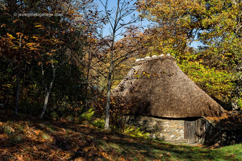 Palloza Museo del Señor Antonio . Pereda de Ancares. León. España © Javier Prieto Gallego;