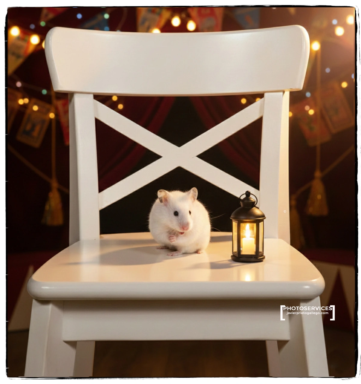 Fotografía de mascota. Hasta donde la imaginación te lleve...